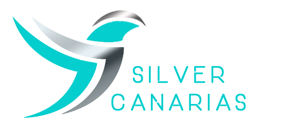 Logo Silver Canarias png